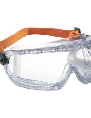 Occhiale a Mascherina (2)